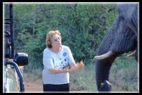 Sue with the elephants