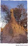 Spooky Termite Castle